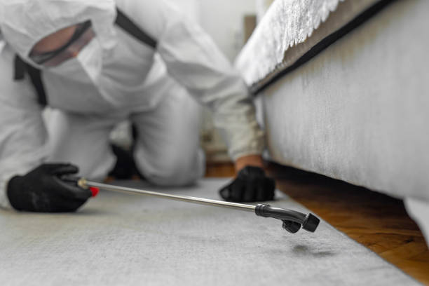 Professional Termite Control technician working in Phelps County County, NE